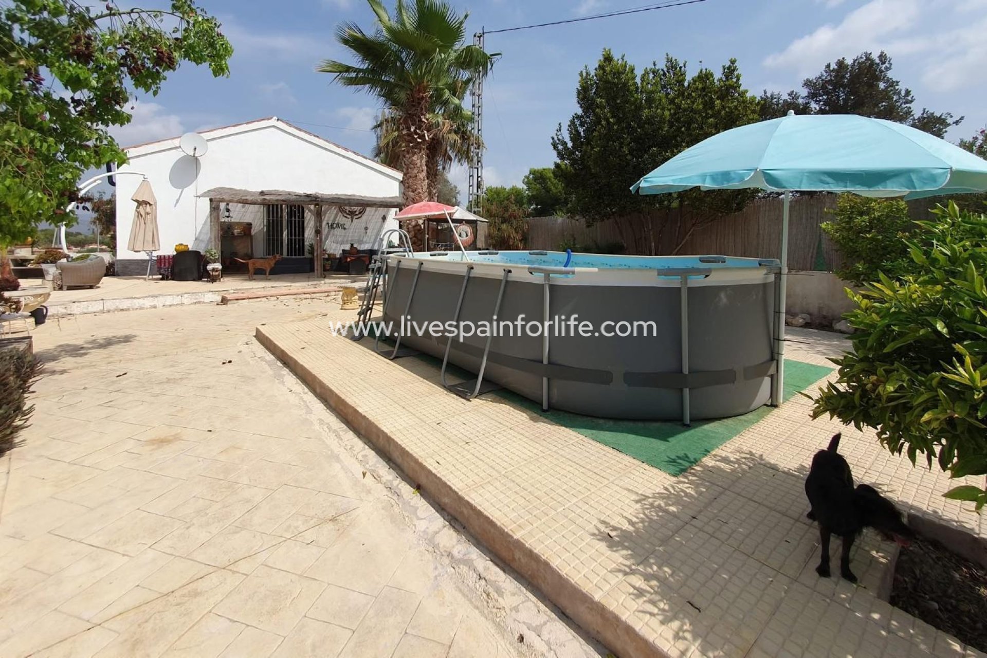 Resale - Country Property -
Catral