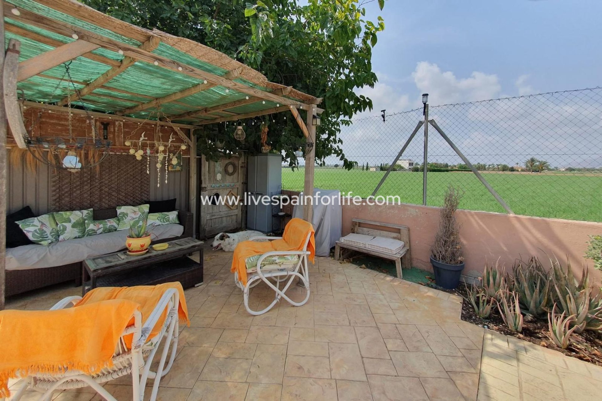 Resale - Country Property -
Catral