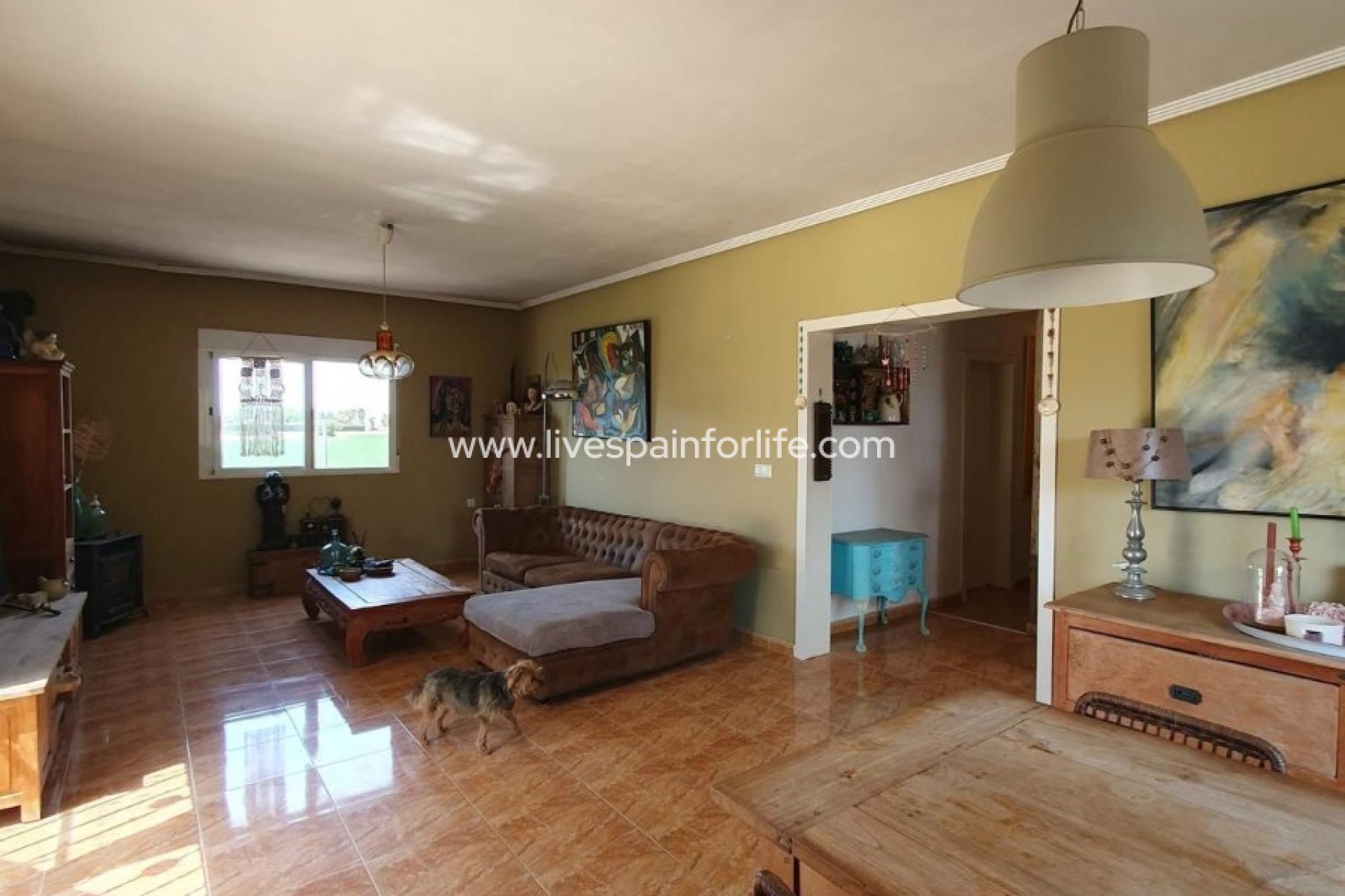 Resale - Country Property -
Catral