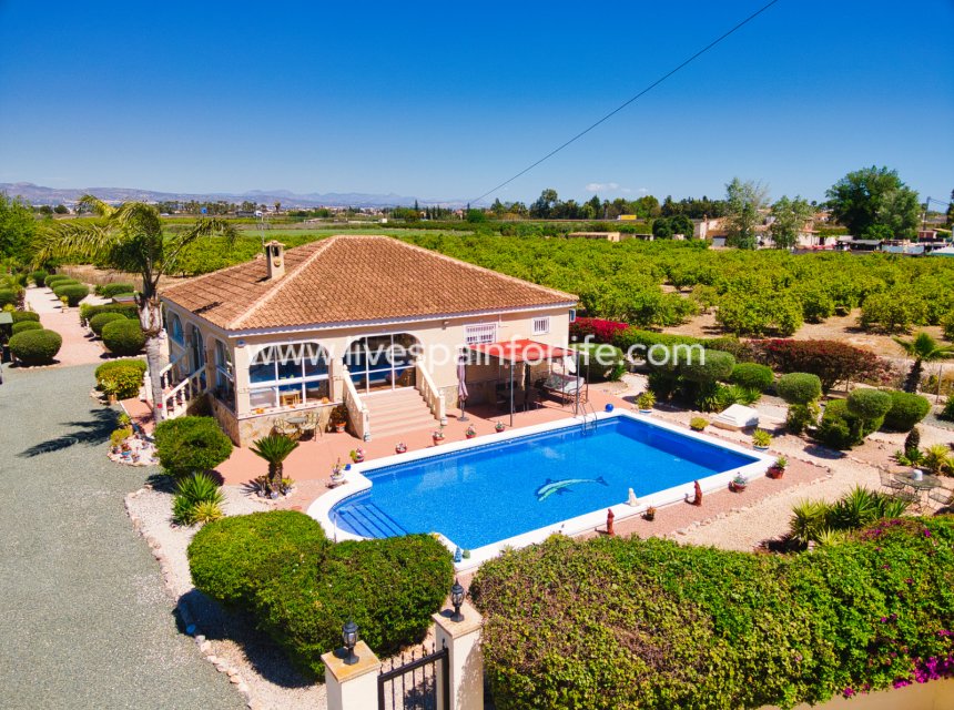 Resale - Country Property -
Catral
