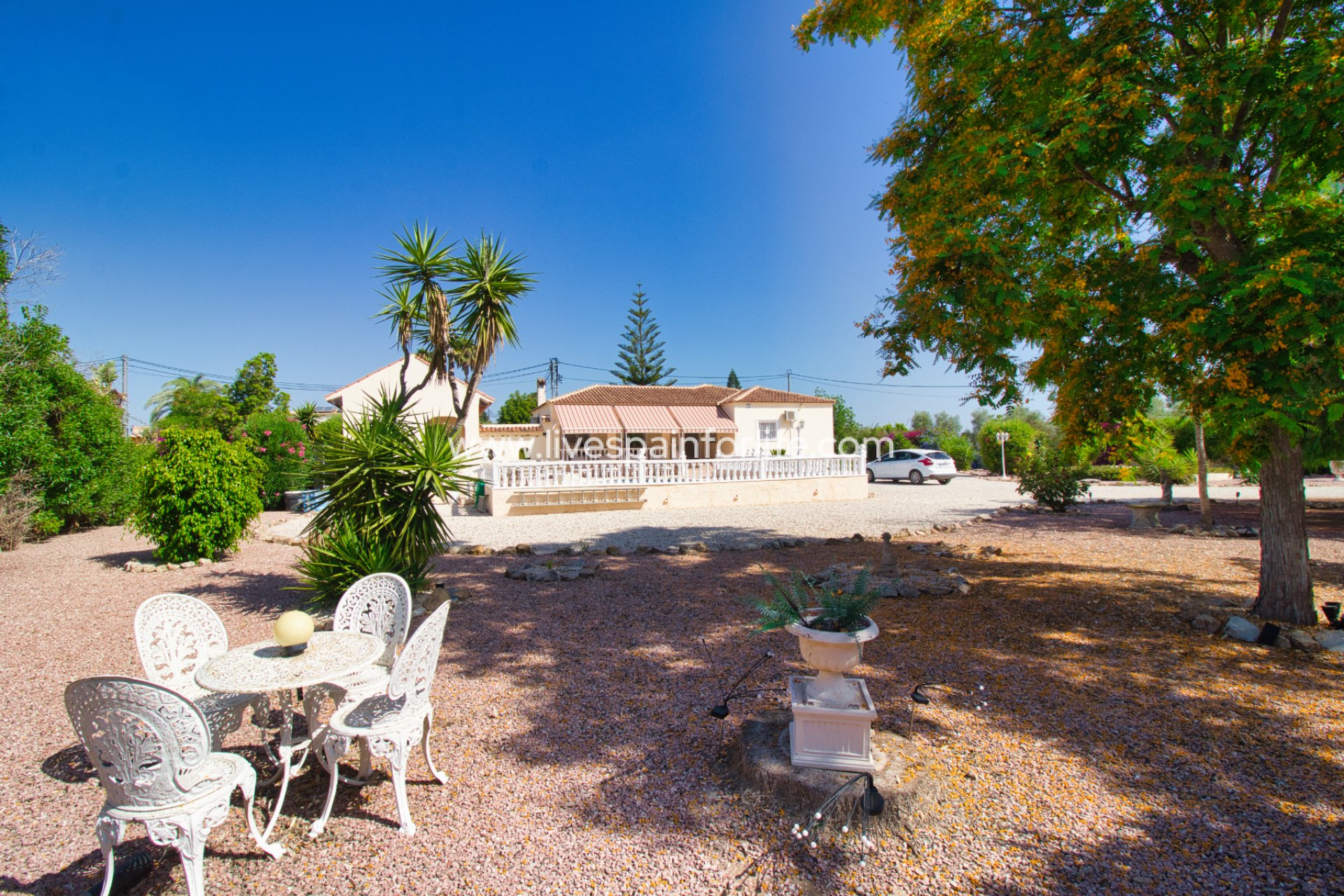 Resale - Country Property -
Catral