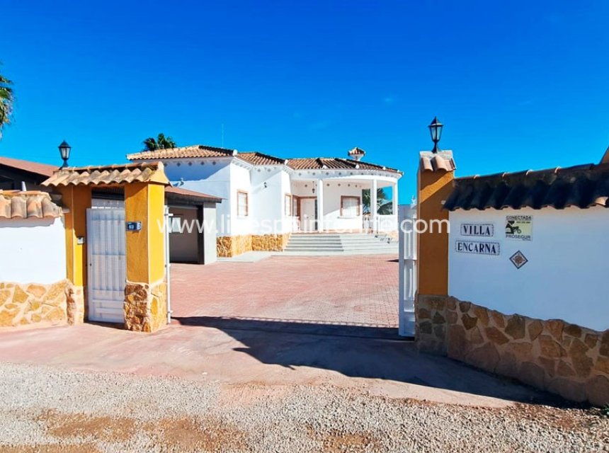 Resale - Country Property -
Catral