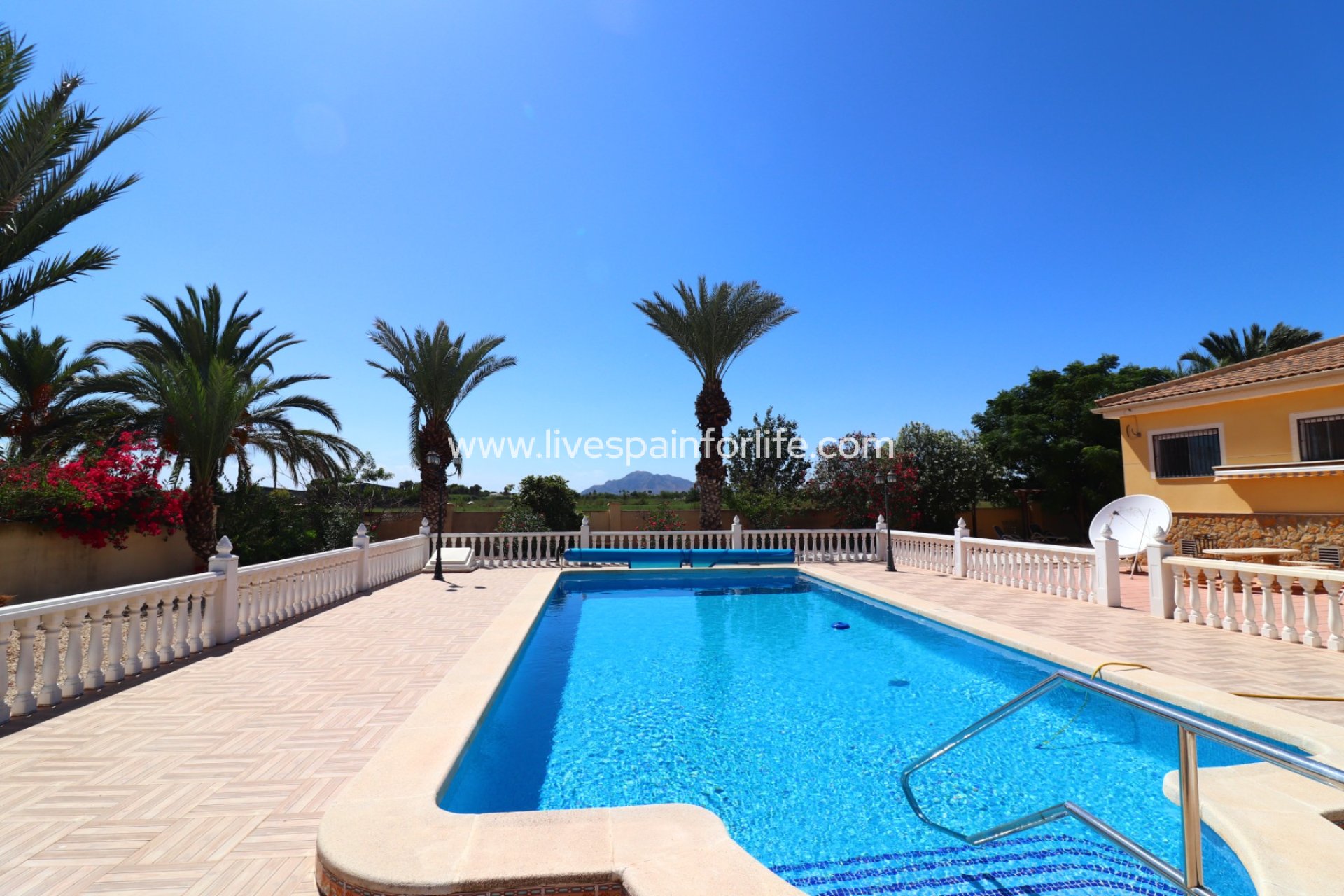 Resale - Country Property -
Catral