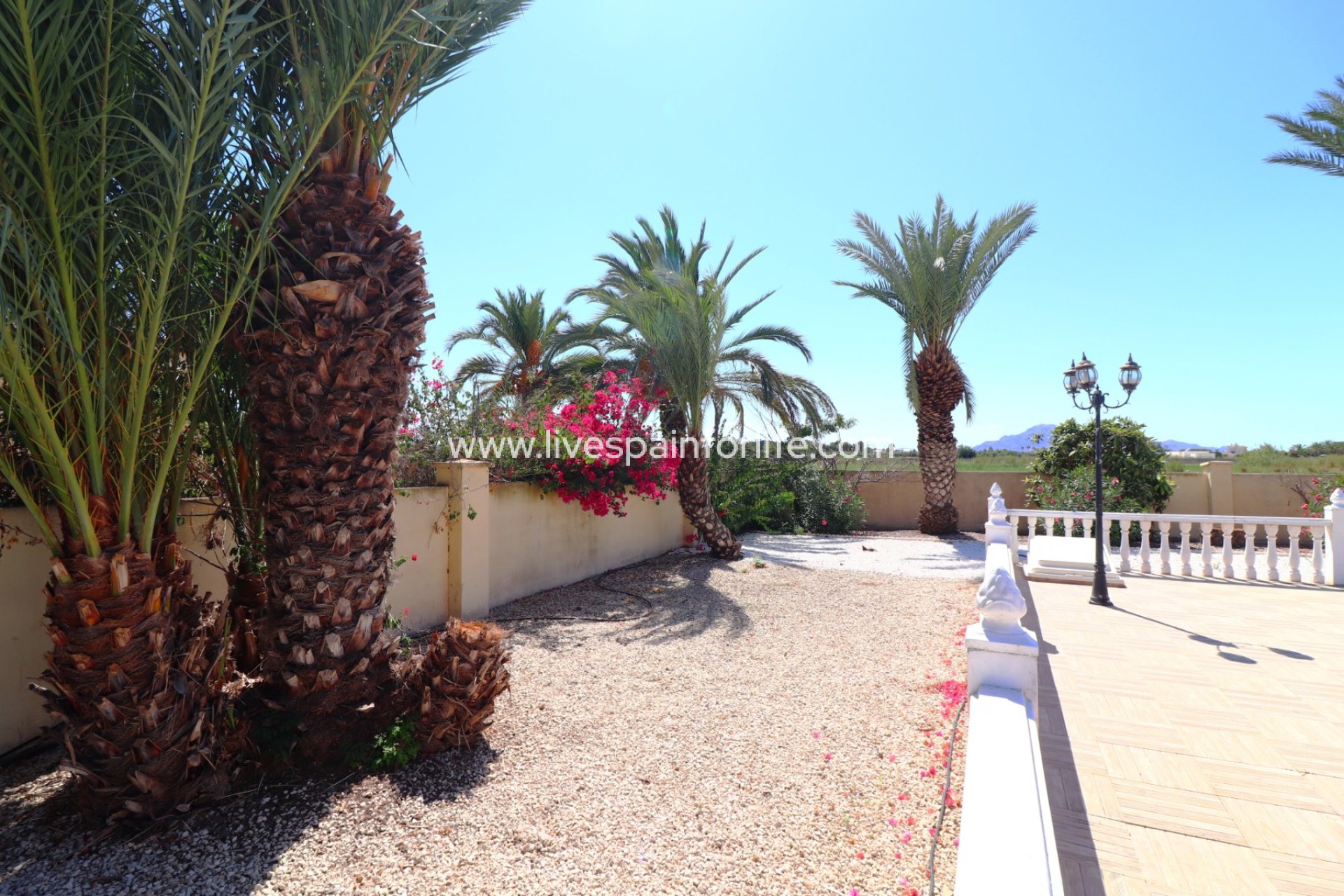 Resale - Country Property -
Catral