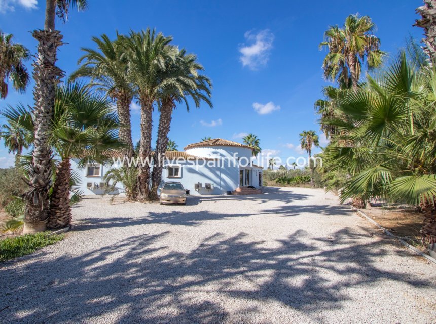 Resale - Country Property -
Catral