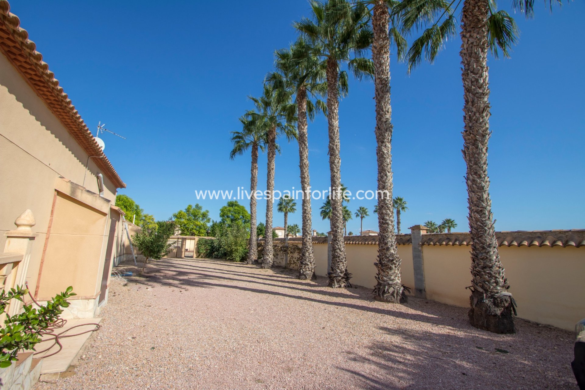 Resale - Country Property -
Catral