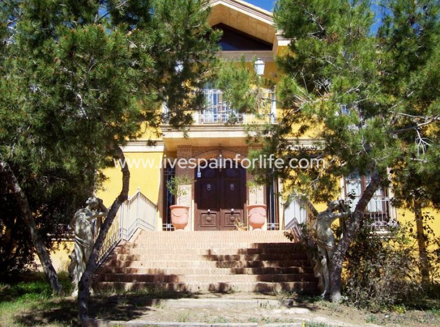 Resale - Country Property -
Ciudad Quesada - Lo Pepin