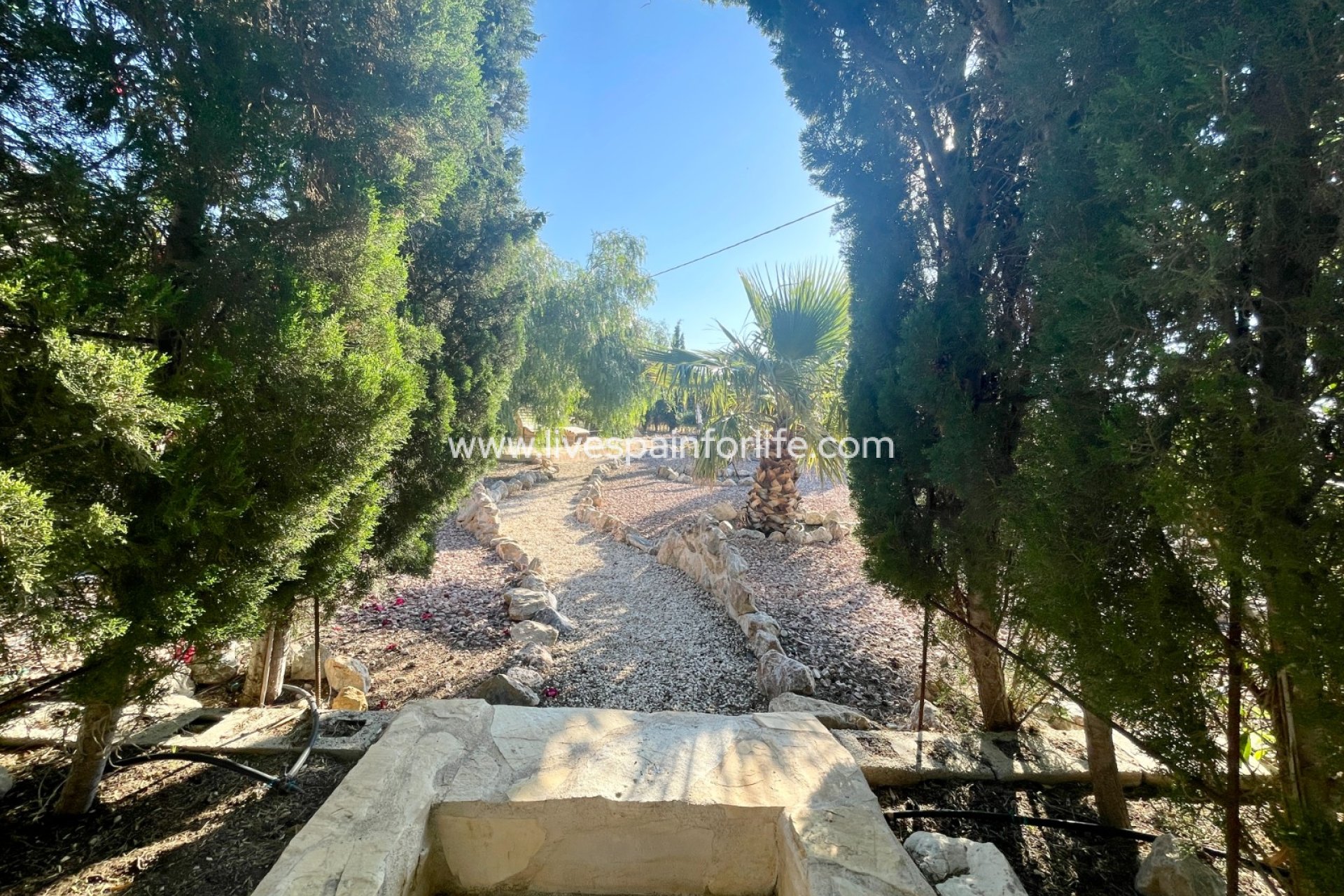 Resale - Country Property -
Crevillent - Crevillente