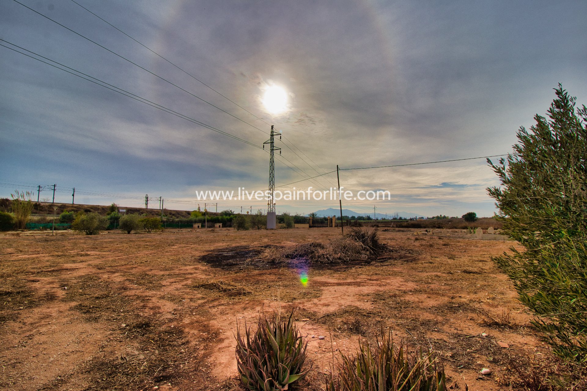 Resale - Country Property -
Crevillent