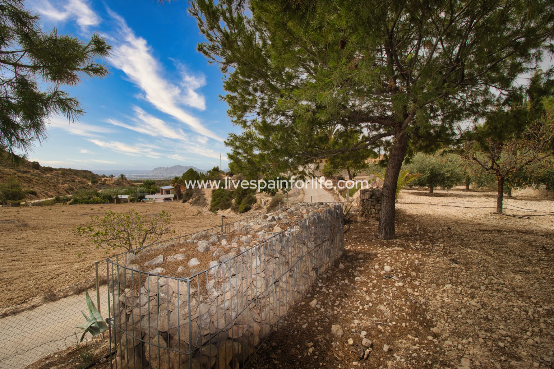 Resale - Country Property -
Crevillent