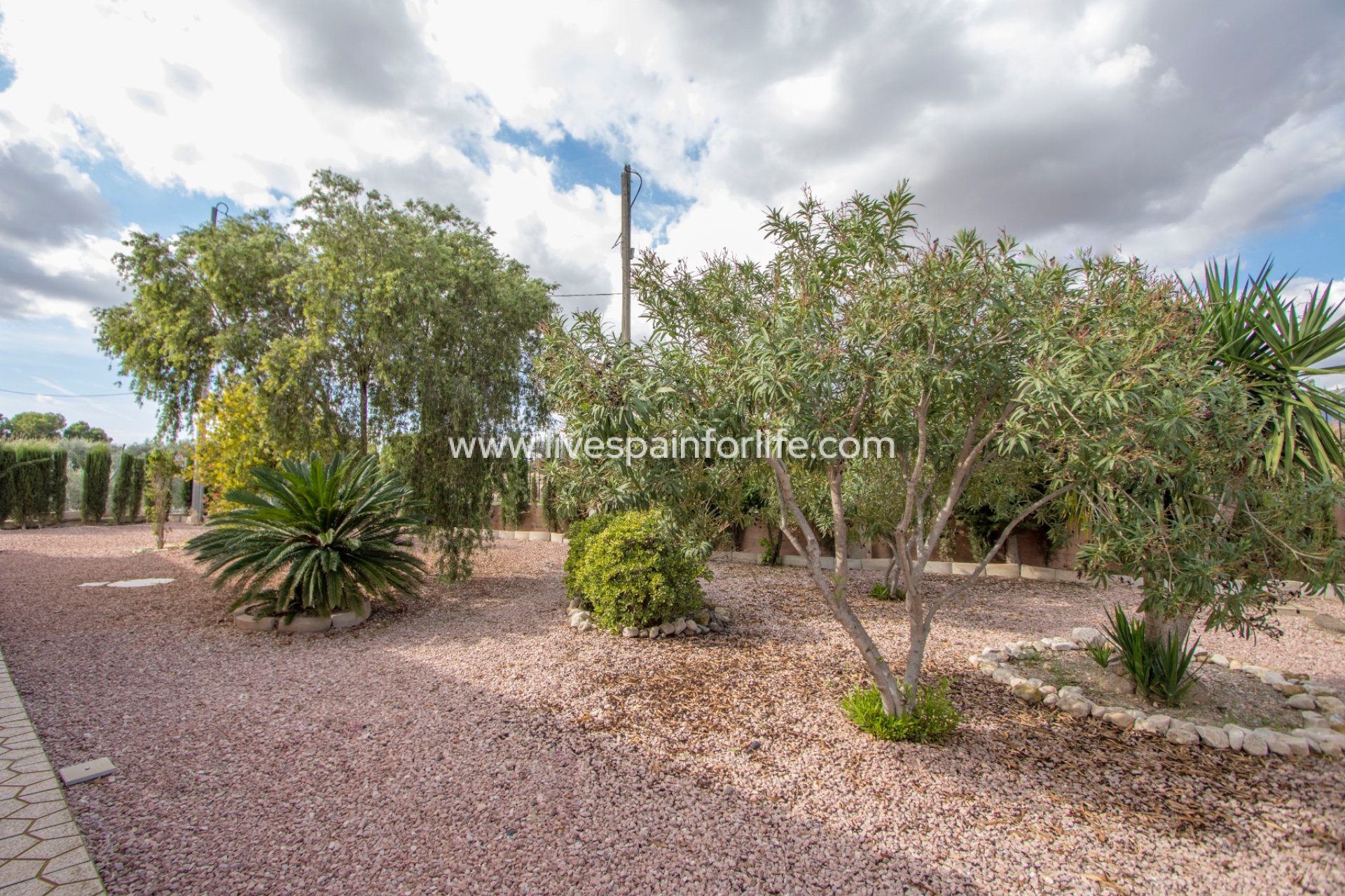 Resale - Country Property -
Crevillent