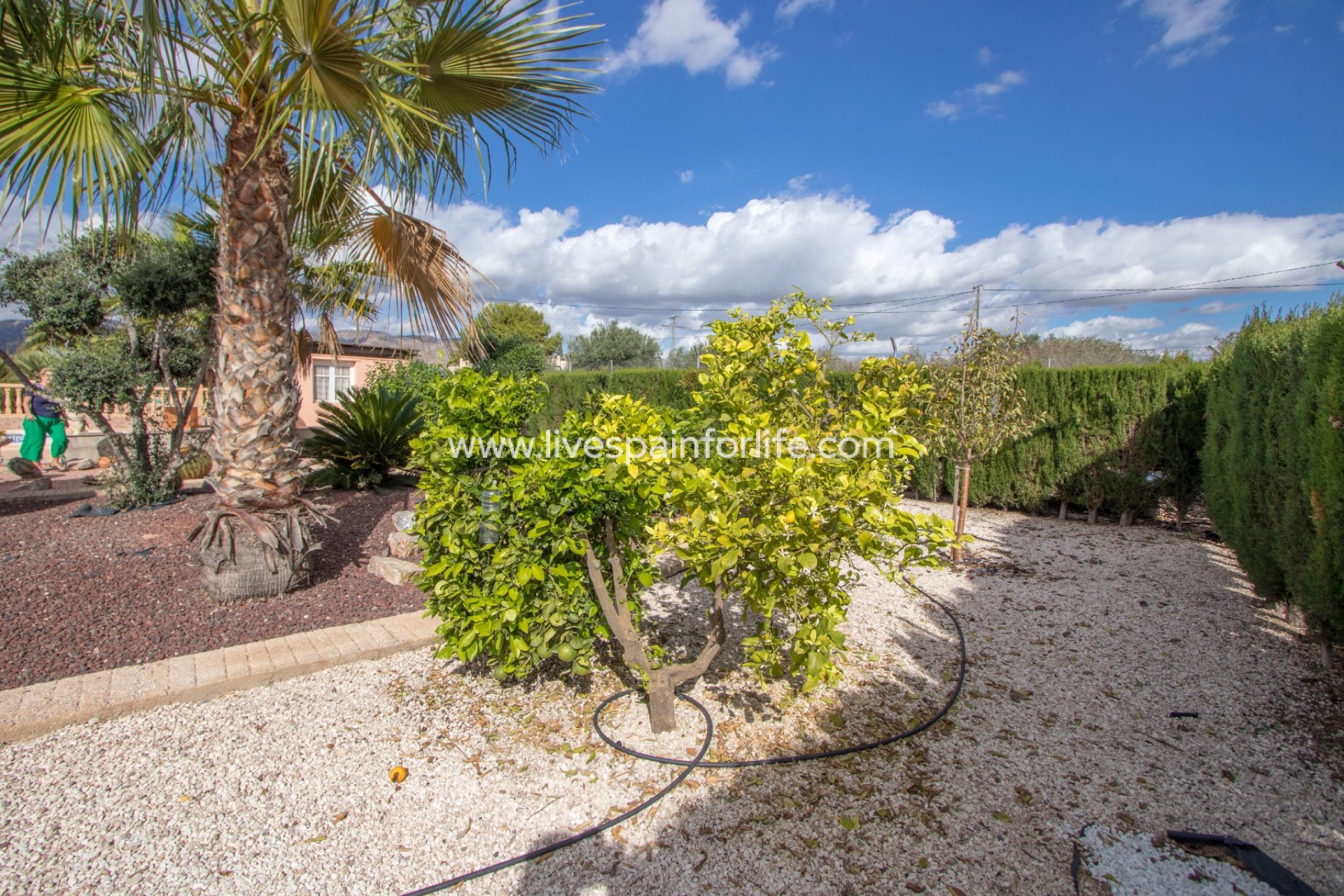 Resale - Country Property -
Crevillent