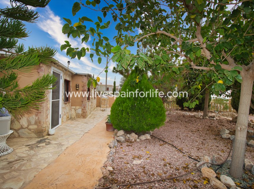 Resale - Country Property -
Crevillent