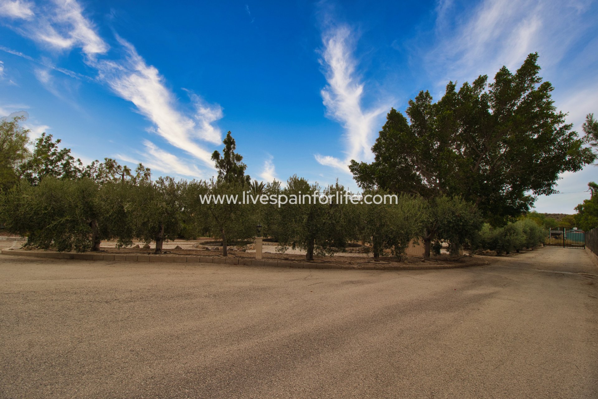 Resale - Country Property -
Crevillent