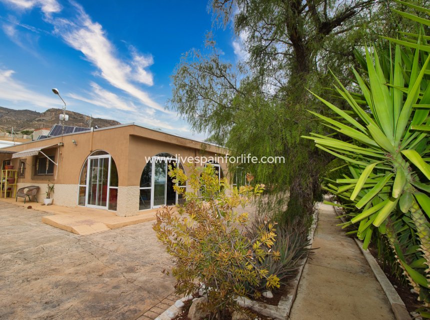 Resale - Country Property -
Crevillent