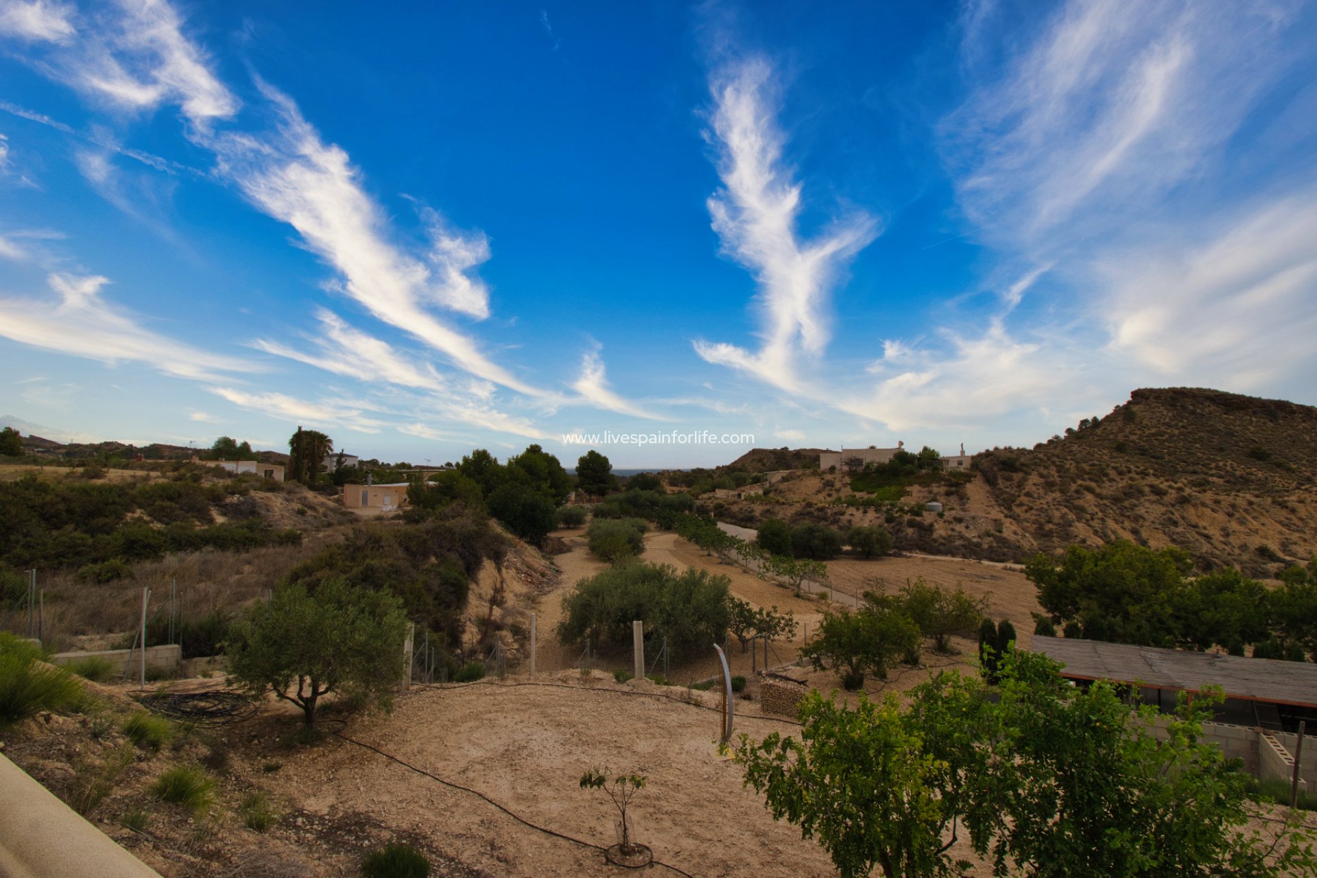 Resale - Country Property -
Crevillent