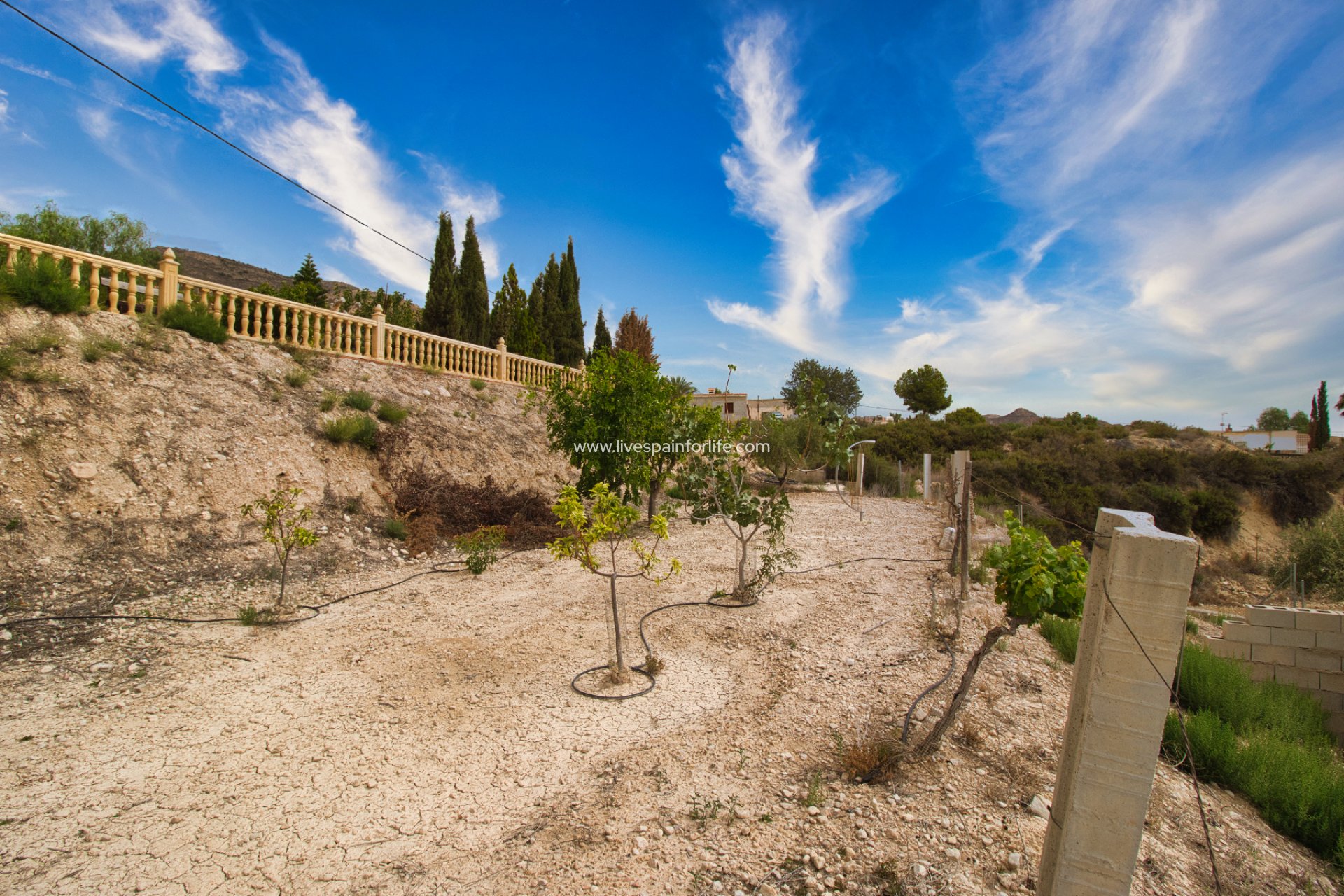 Resale - Country Property -
Crevillent