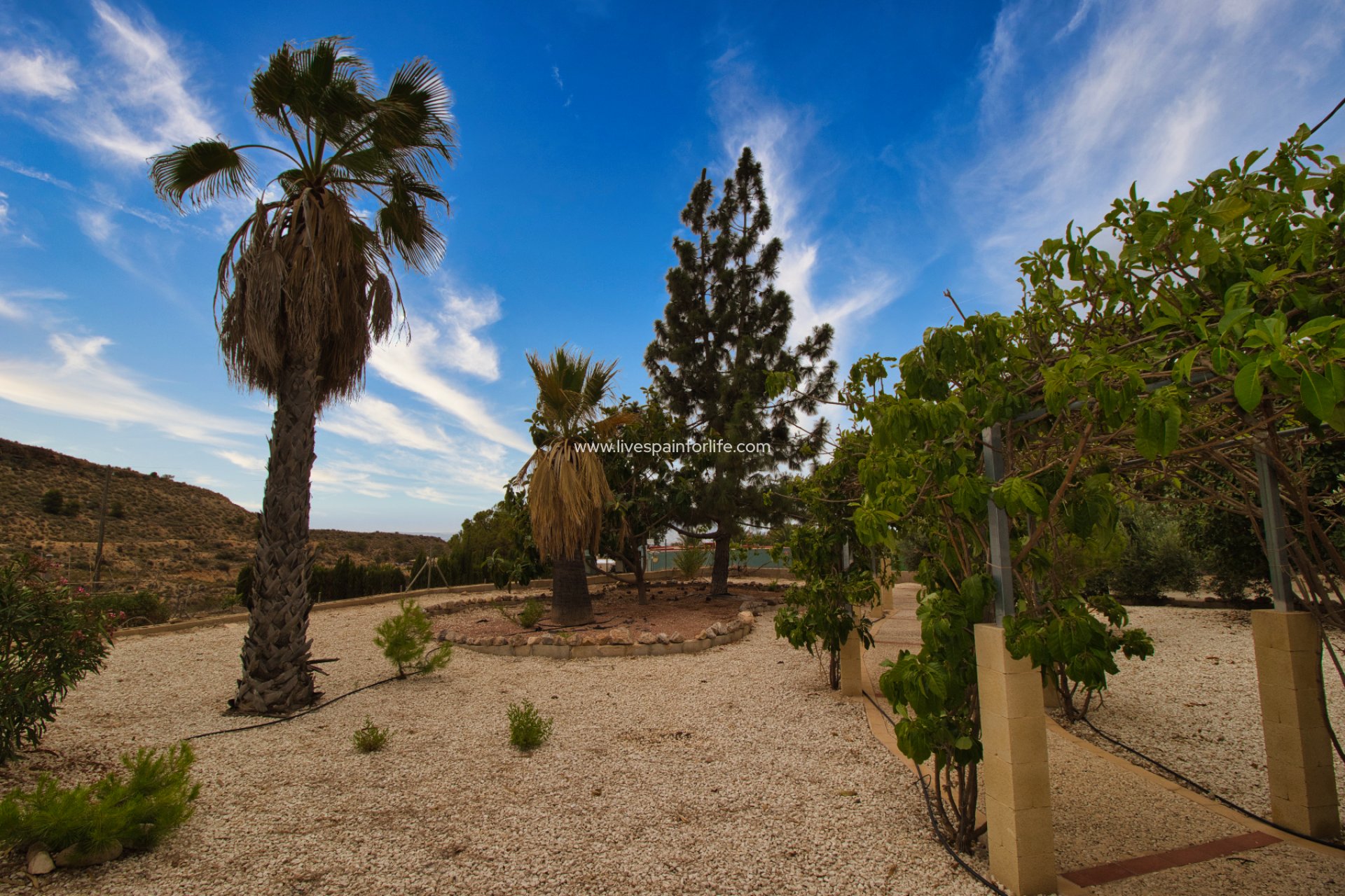 Resale - Country Property -
Crevillent