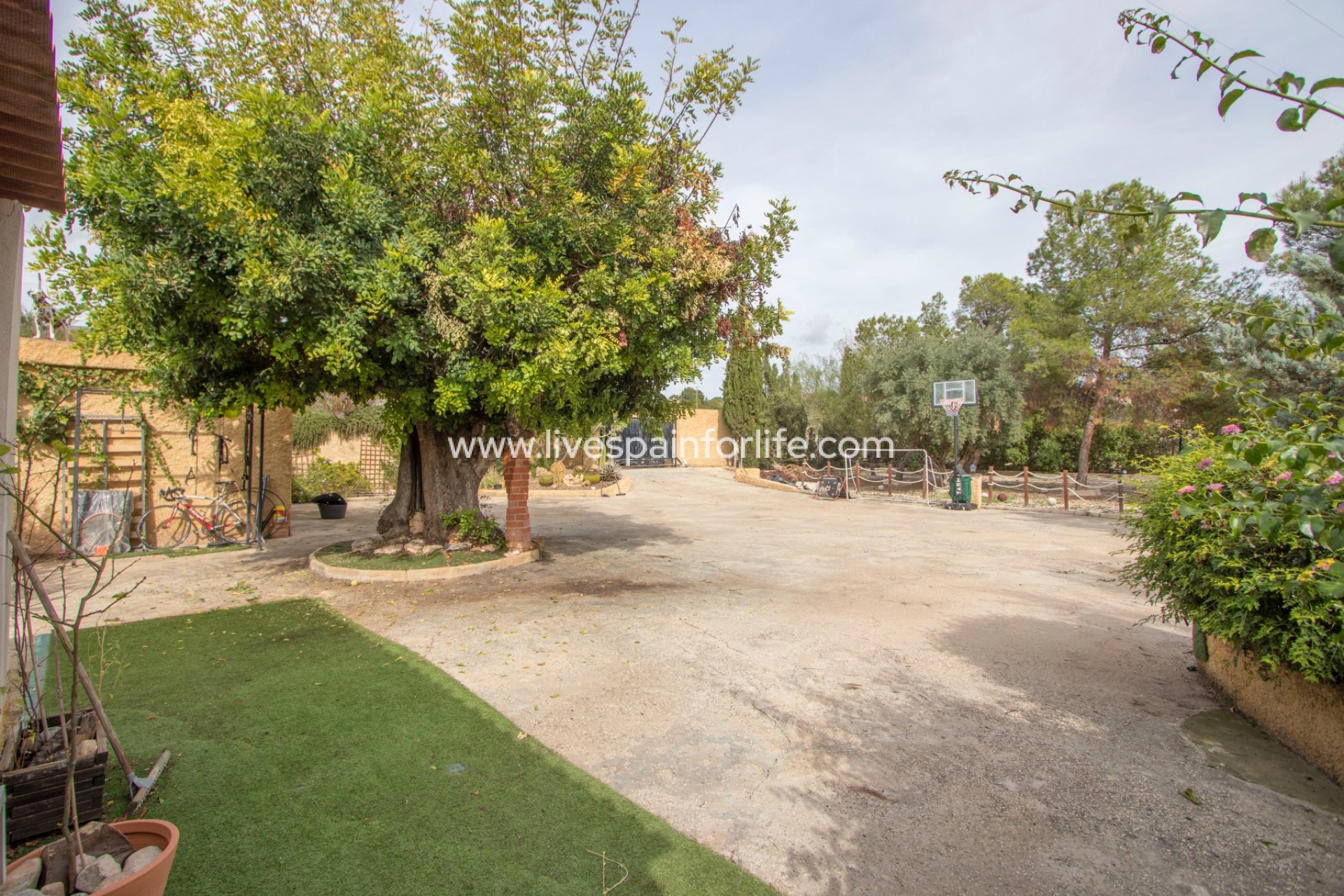 Resale - Country Property -
Crevillent