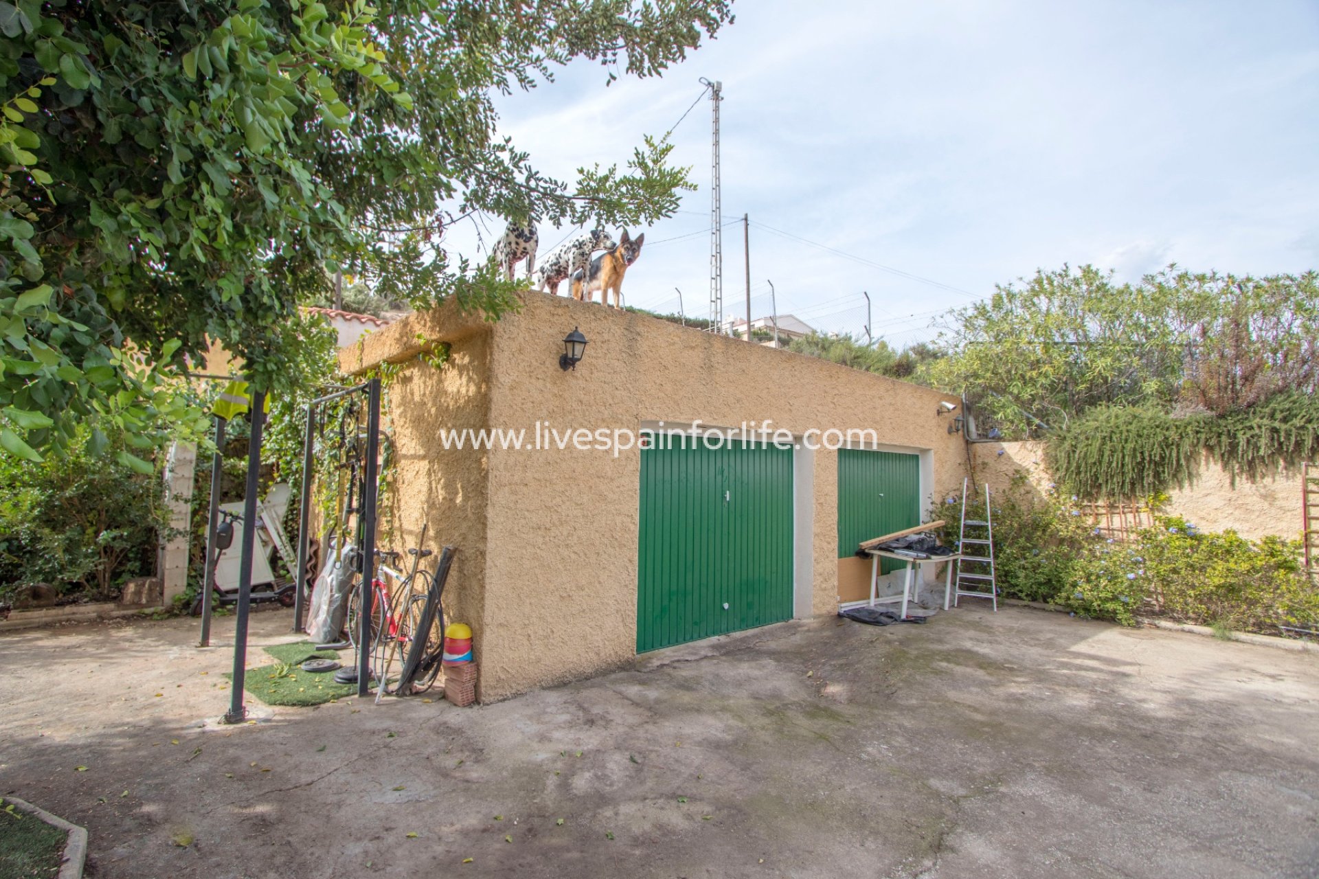 Resale - Country Property -
Crevillent
