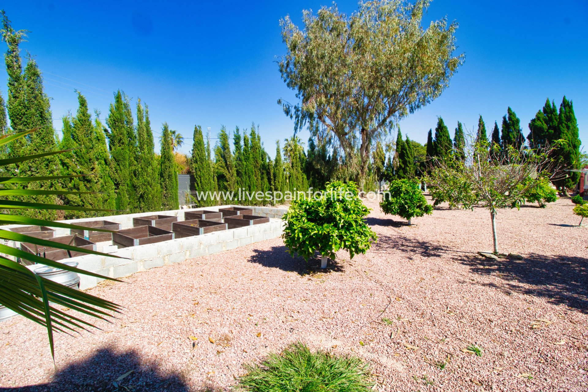 Resale - Country Property -
Daya Vieja