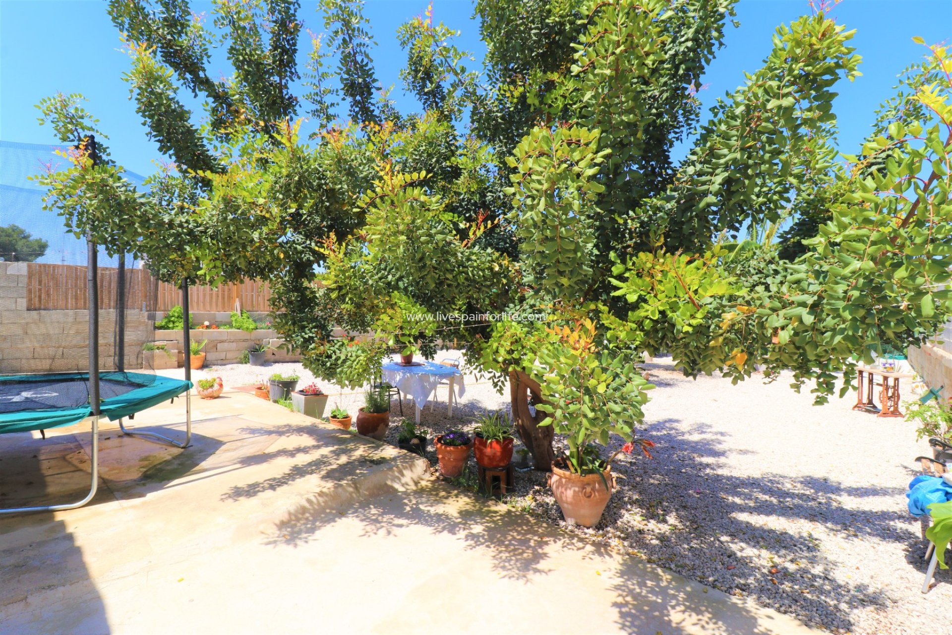Resale - Country Property -
Dolores