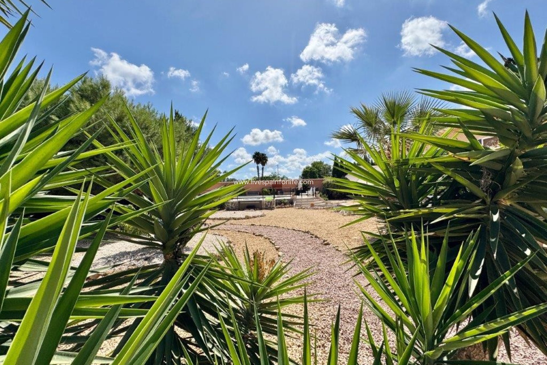 Resale - Country Property -
Dolores