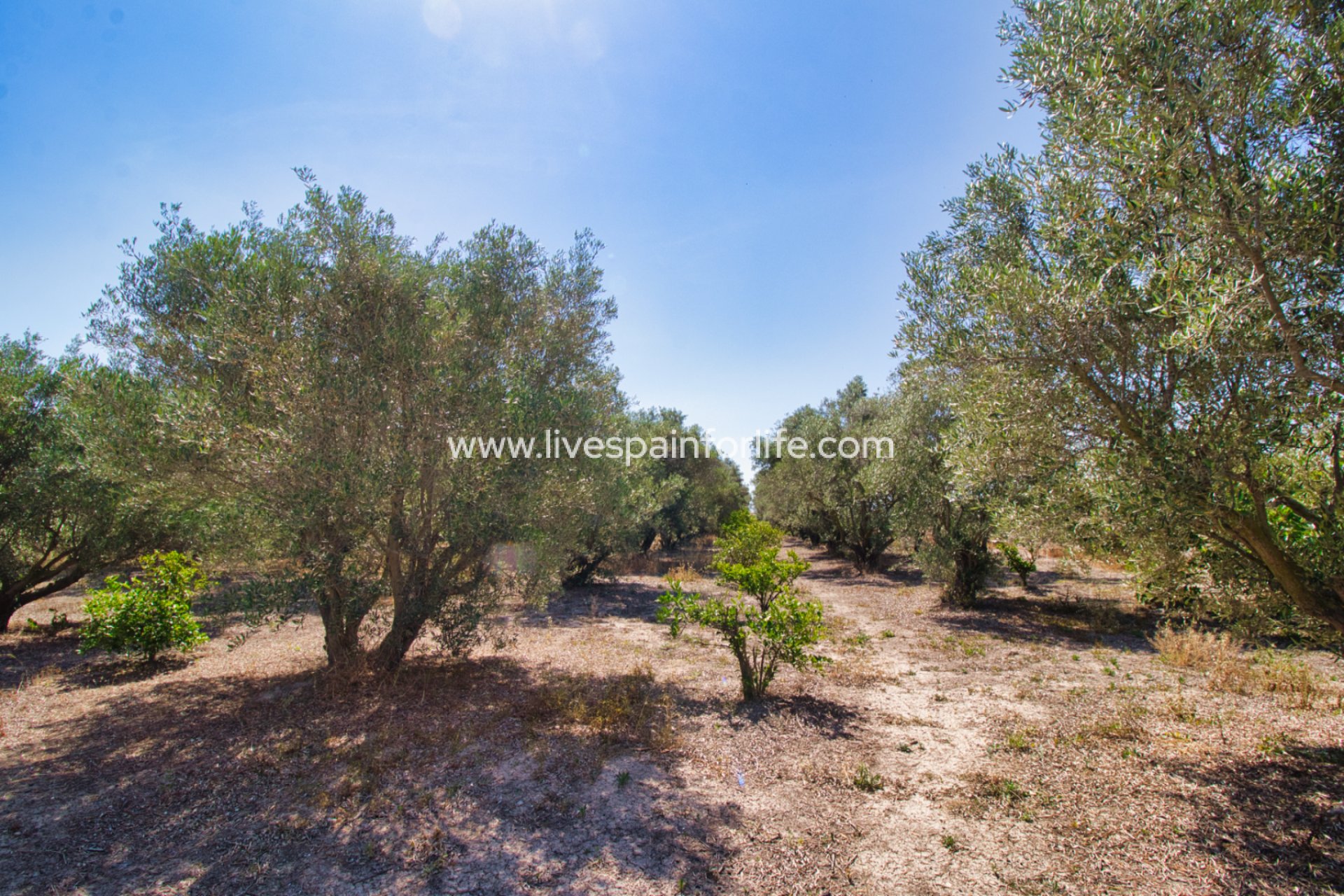 Resale - Country Property -
Dolores