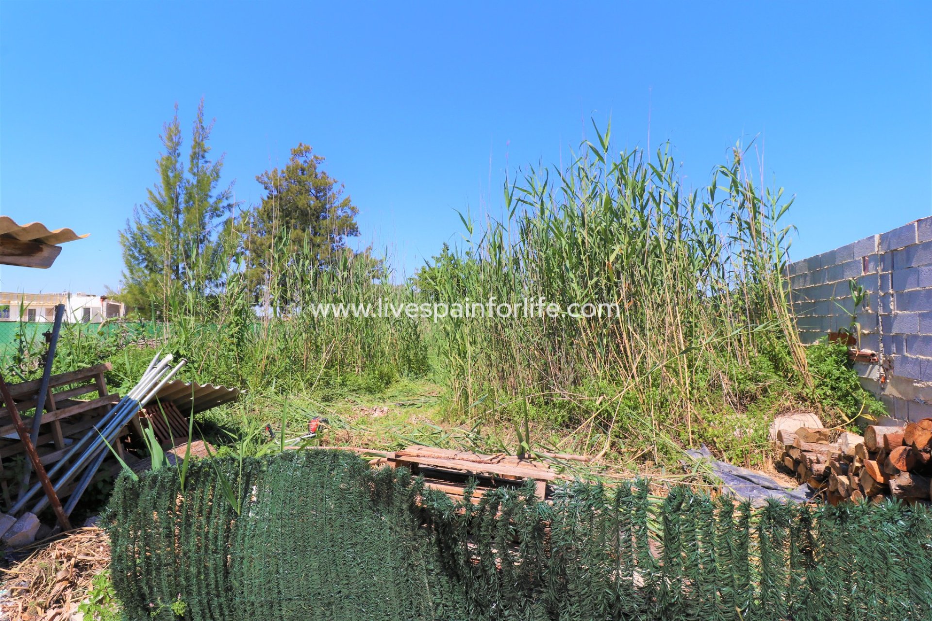 Resale - Country Property -
Dolores