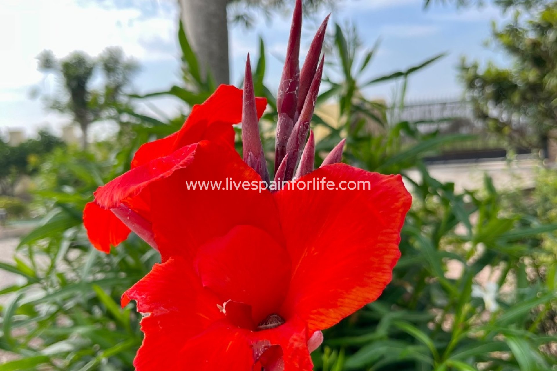 Resale - Country Property -
Dolores