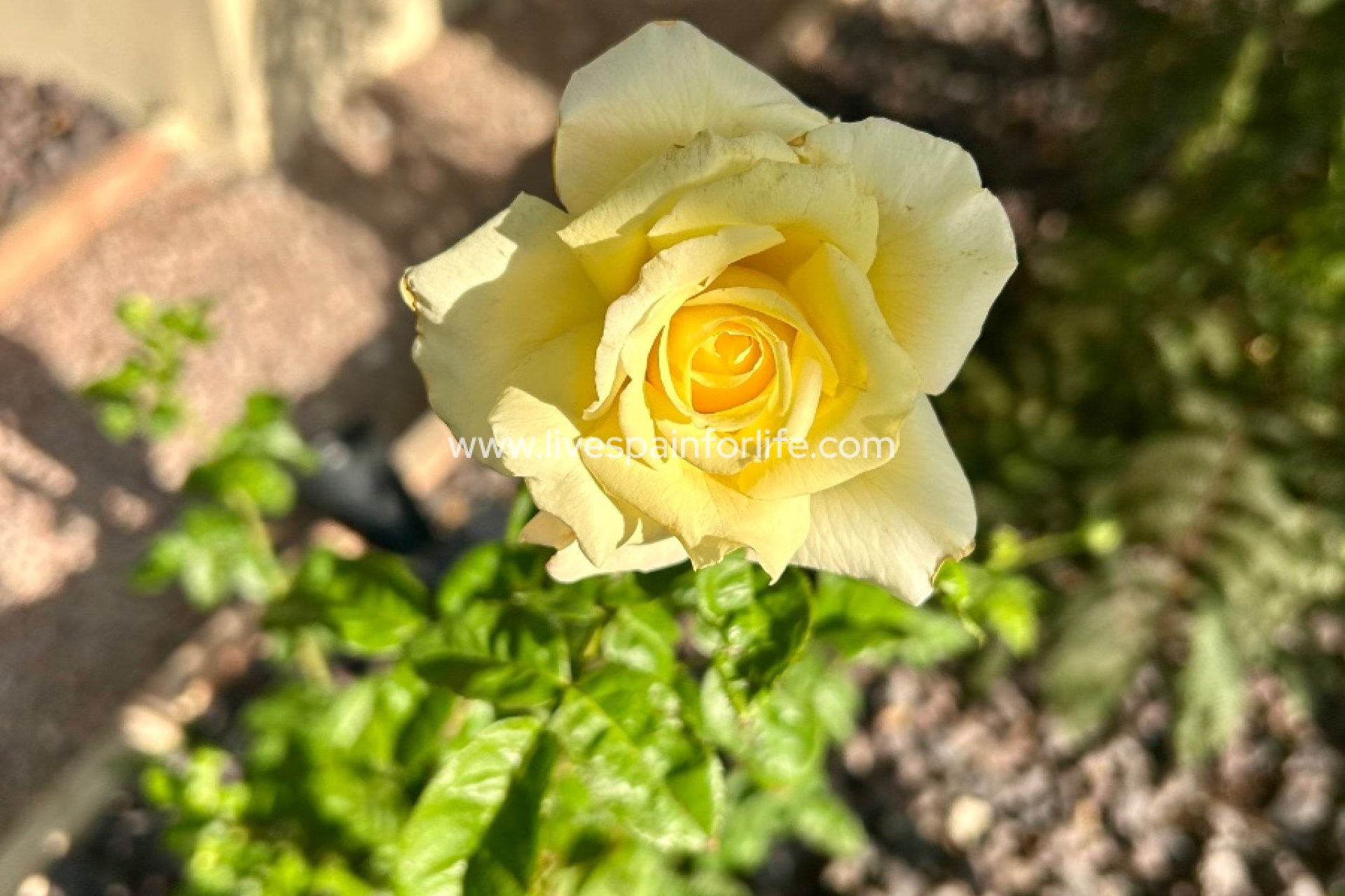 Resale - Country Property -
Dolores