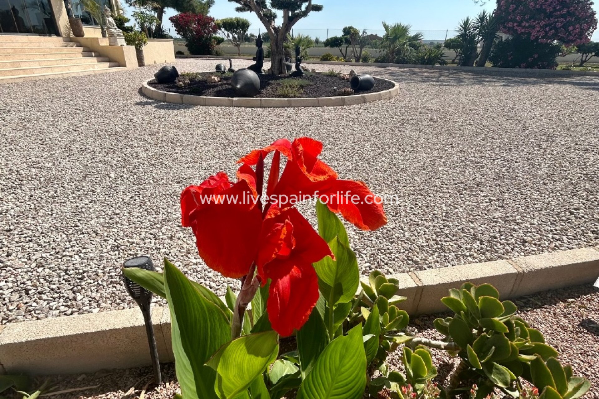 Resale - Country Property -
Dolores