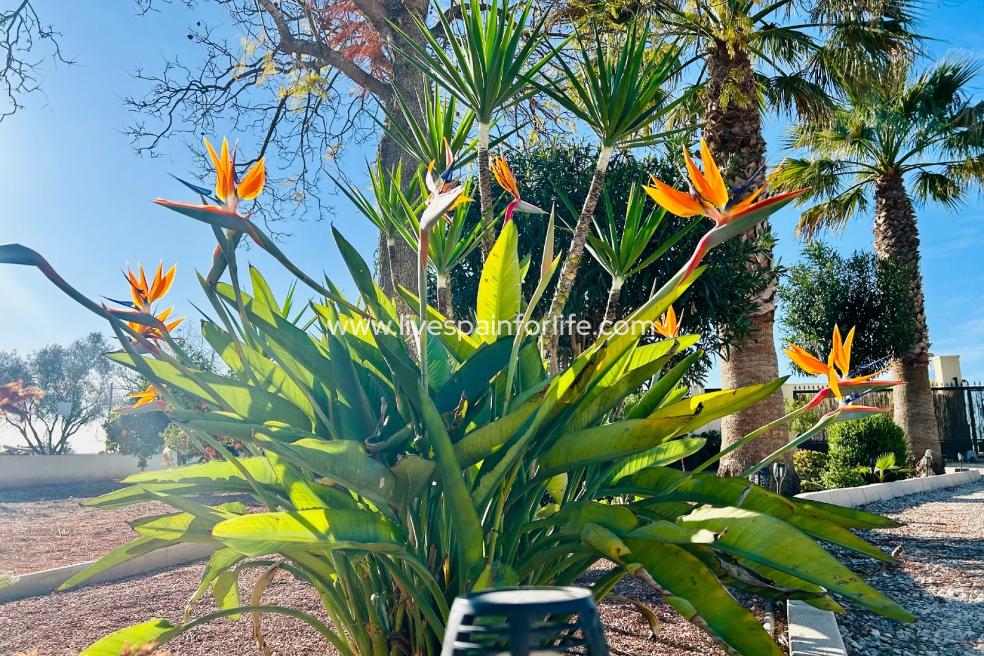 Resale - Country Property -
Dolores