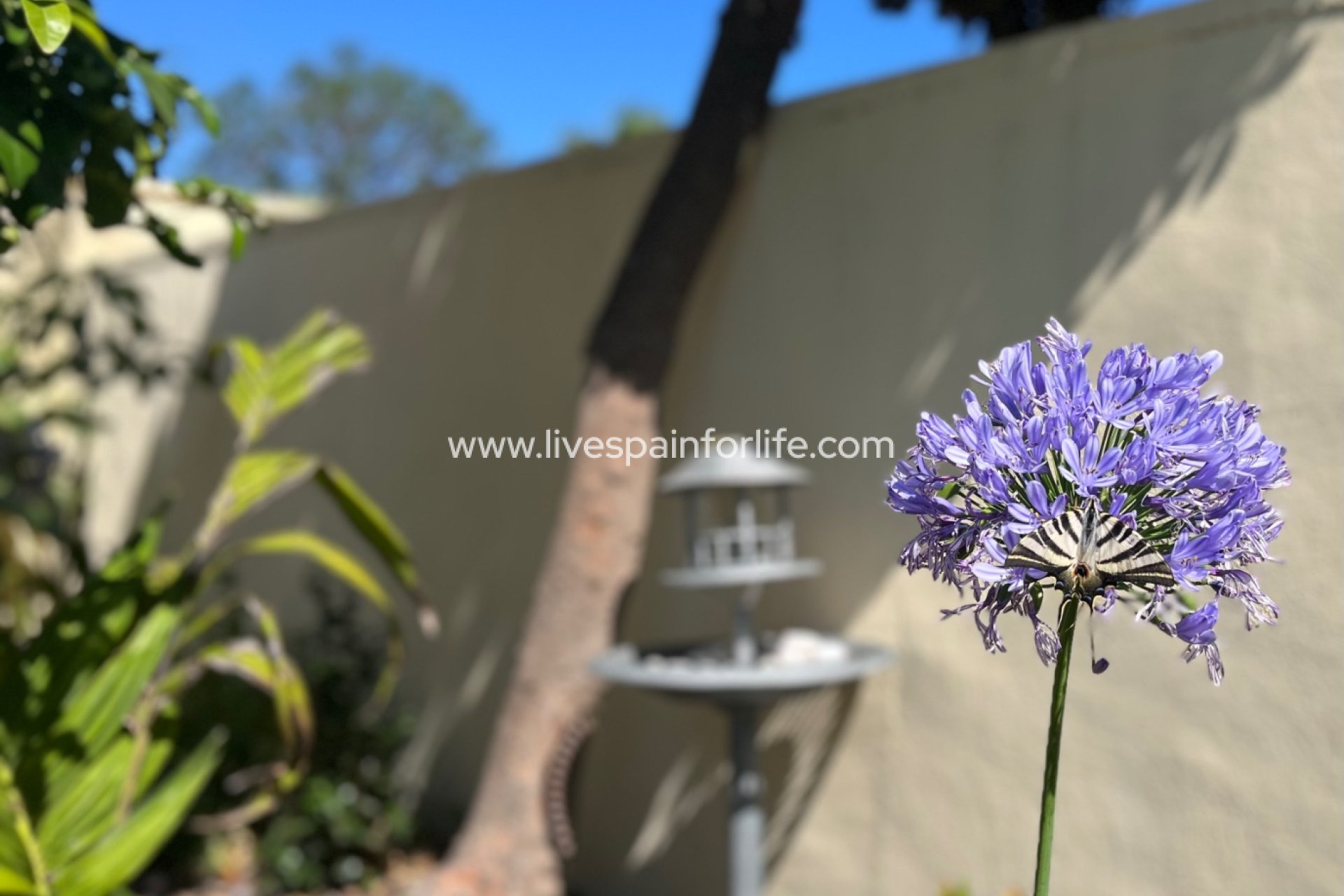 Resale - Country Property -
Dolores