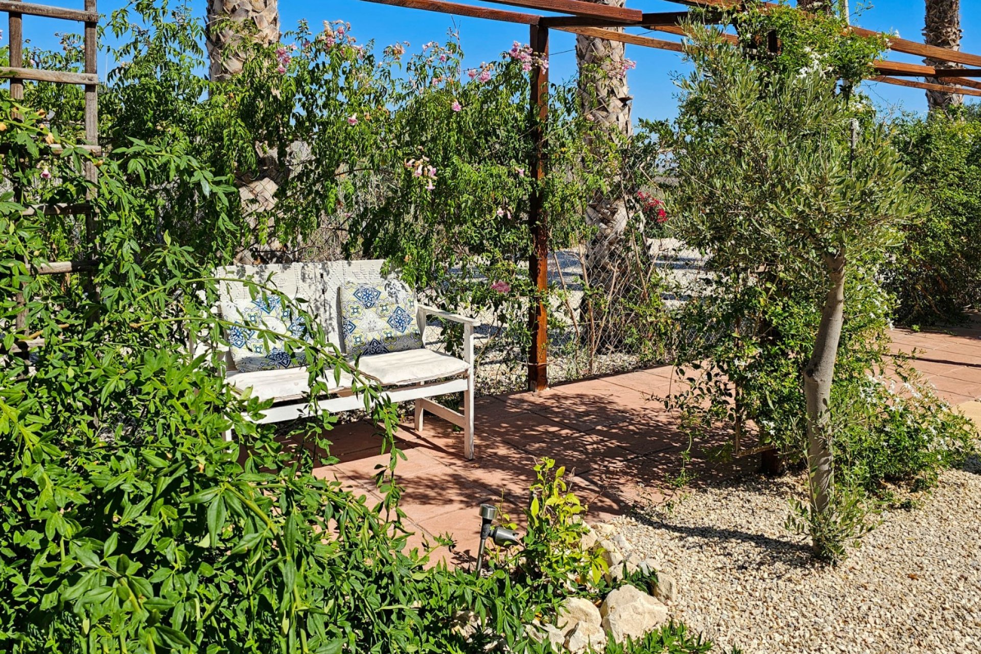 Resale - Country Property -
El Realengo