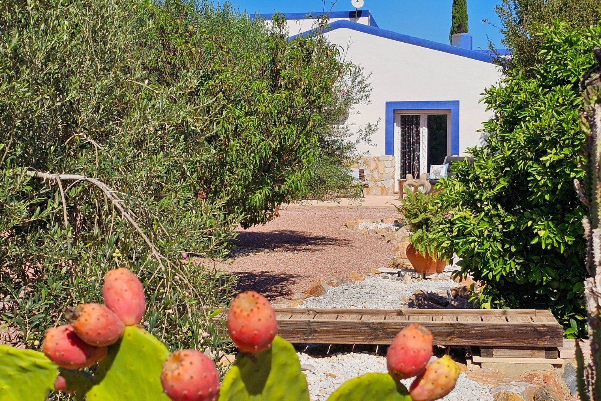 Resale - Country Property -
El Realengo