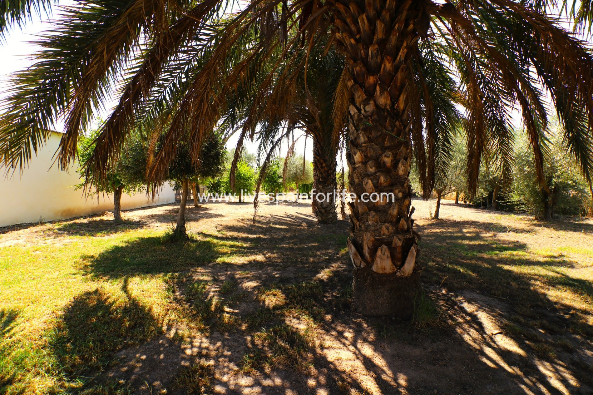 Resale - Country Property -
Granja de Rocamora