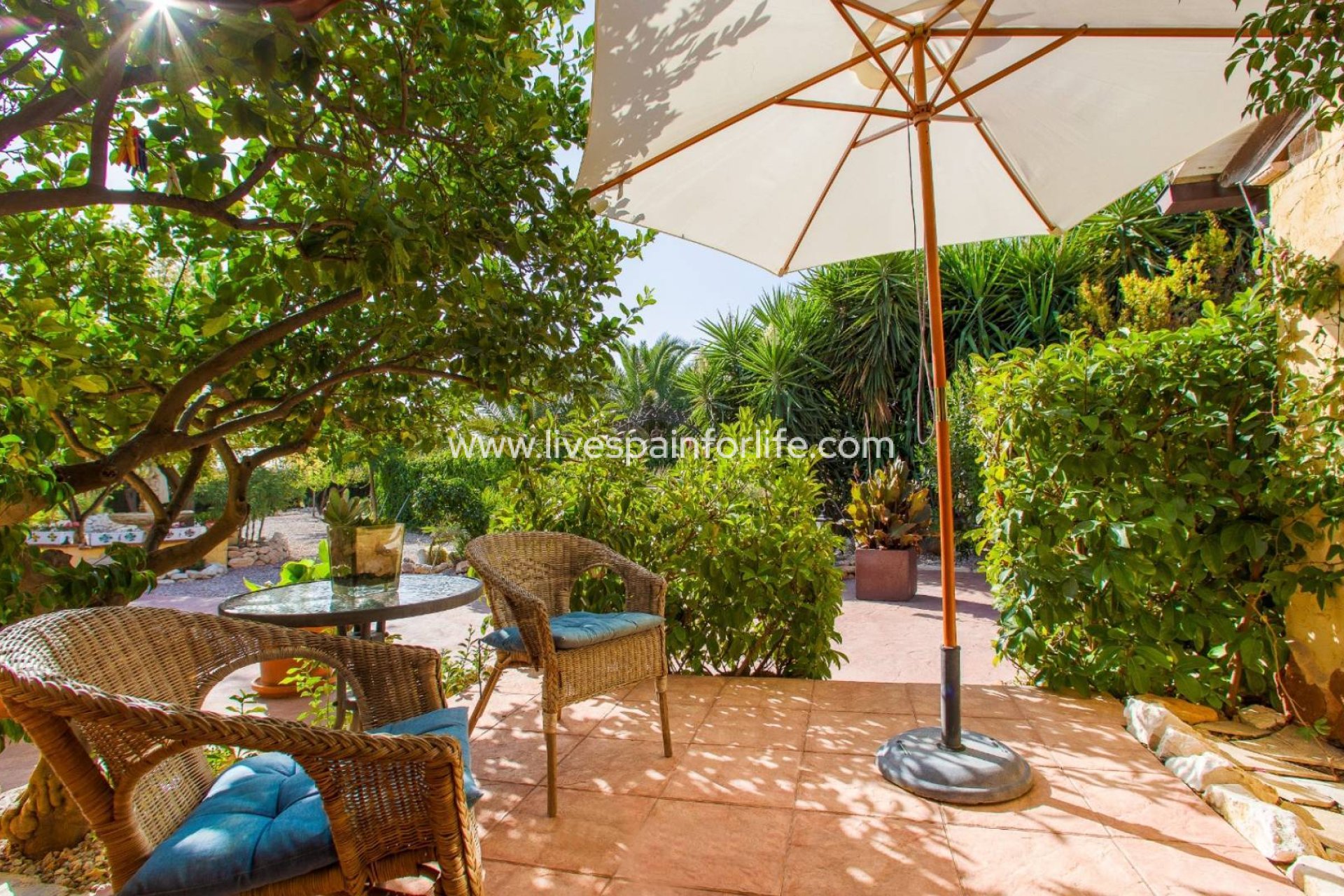 Resale - Country Property -
Hondon De Las Nieves - Hondon De Los Frailes
