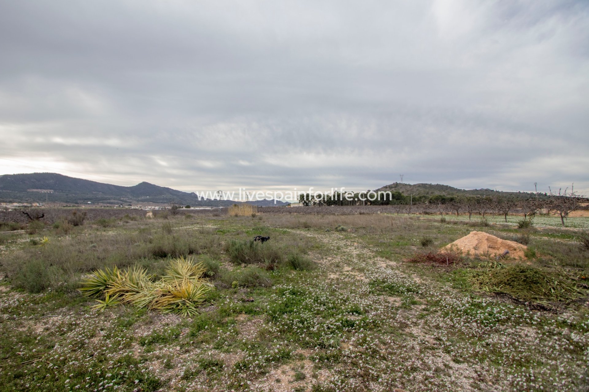 Resale - Country Property -
Hondon De Las Nieves