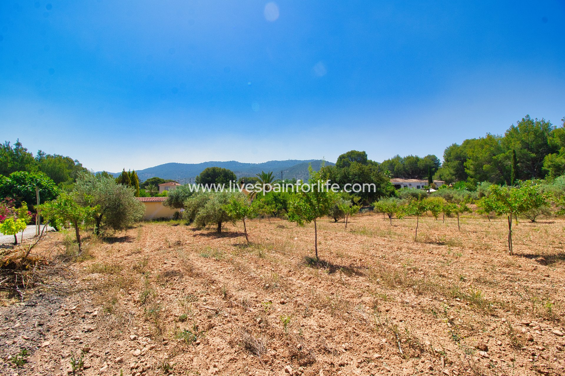 Resale - Country Property -
Hondon De Las Nieves