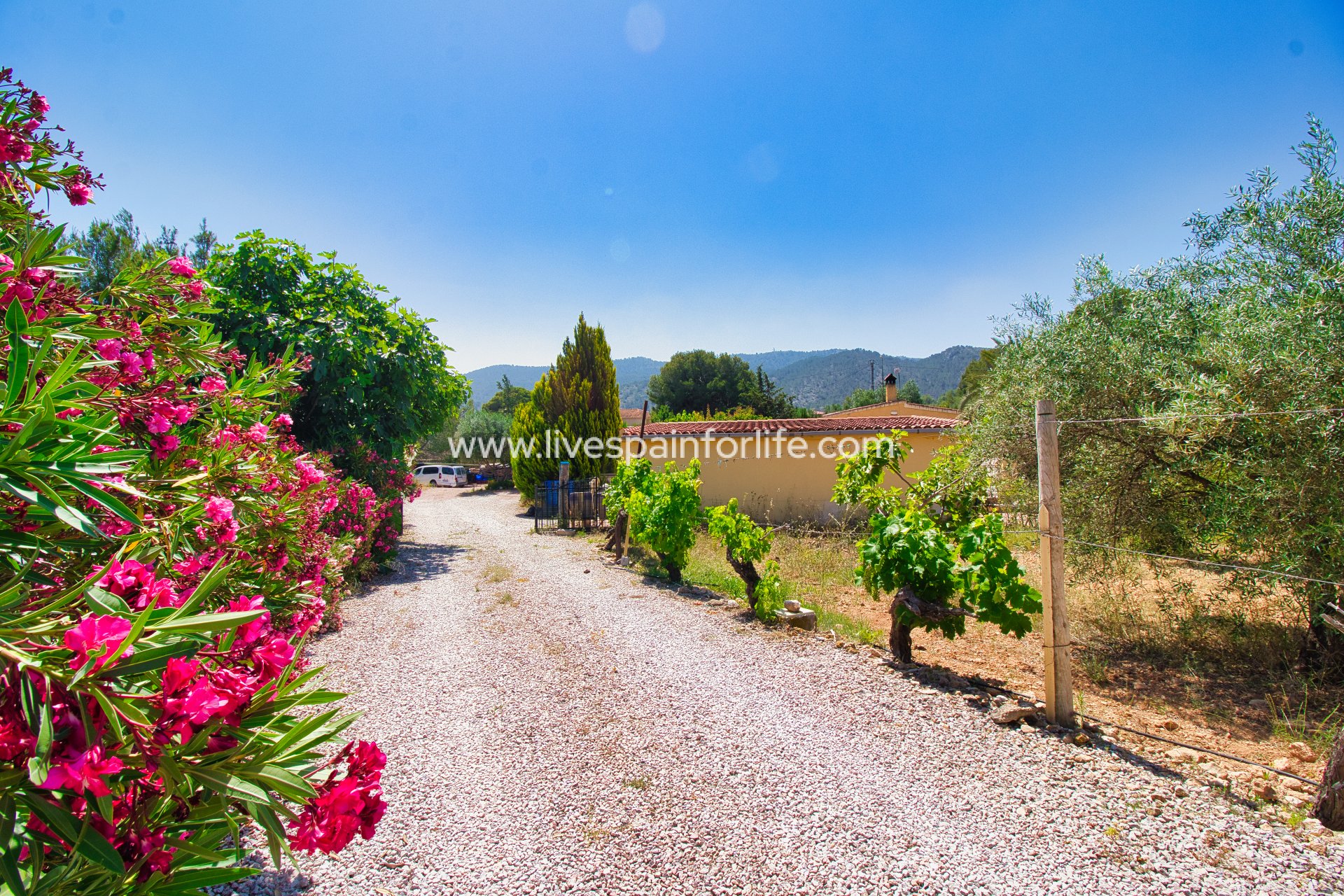 Resale - Country Property -
Hondon De Las Nieves