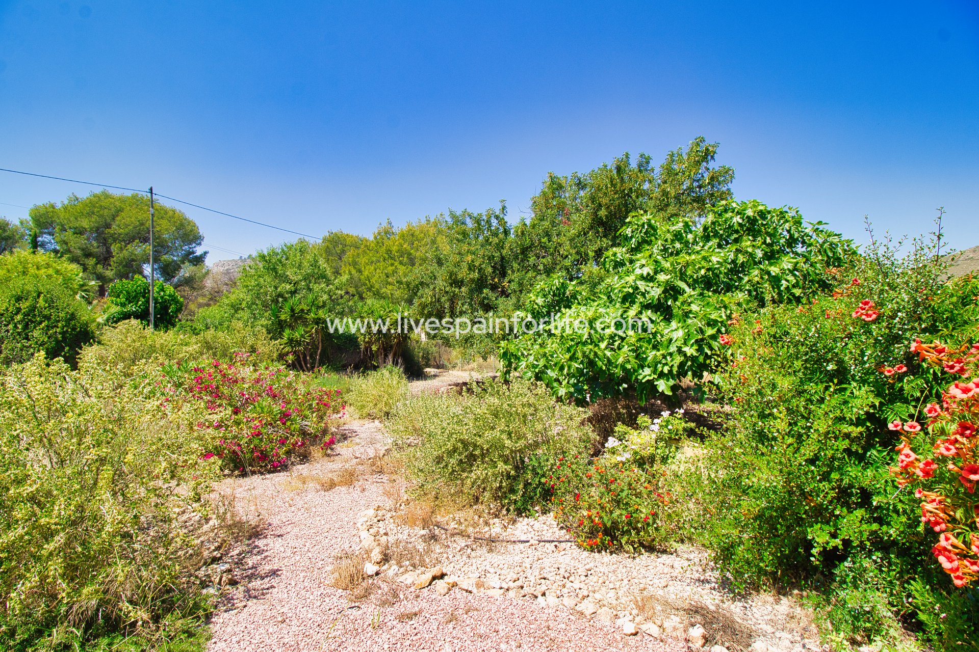 Resale - Country Property -
Hondon De Las Nieves