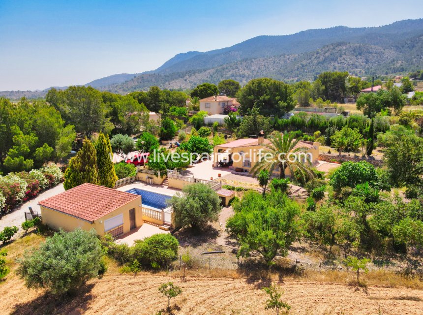 Resale - Country Property -
Hondon De Las Nieves