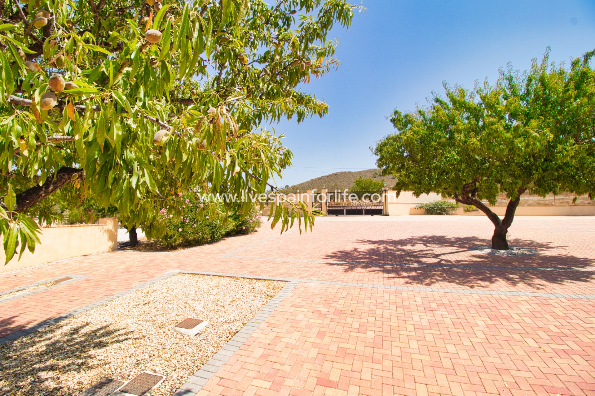 Resale - Country Property -
Hondon De Las Nieves