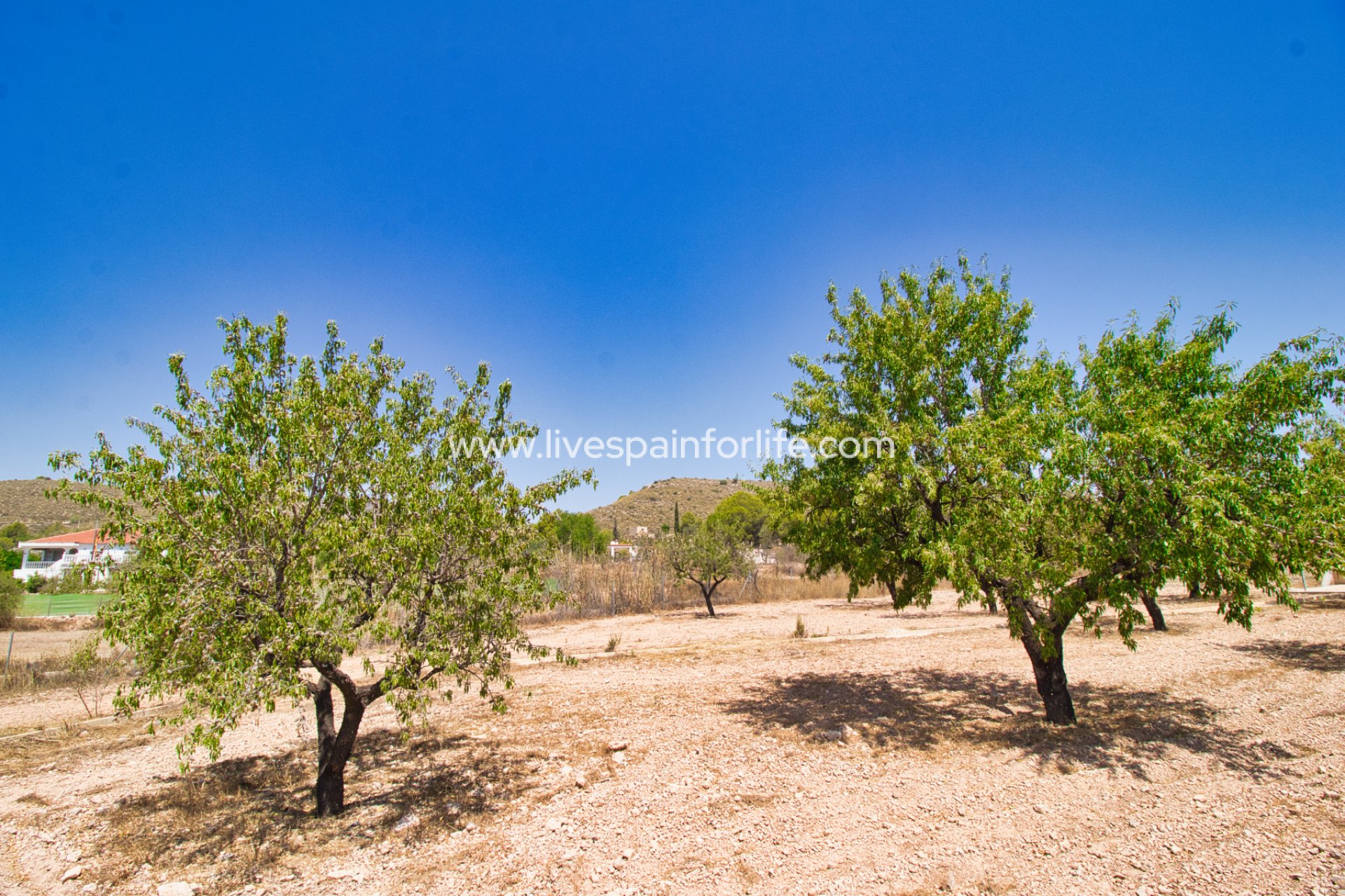 Resale - Country Property -
Hondon De Las Nieves