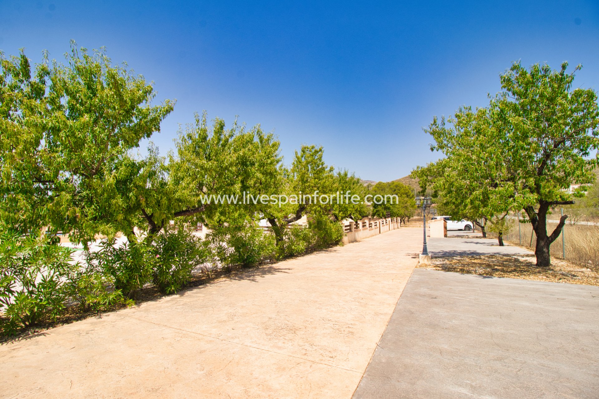 Resale - Country Property -
Hondon De Las Nieves
