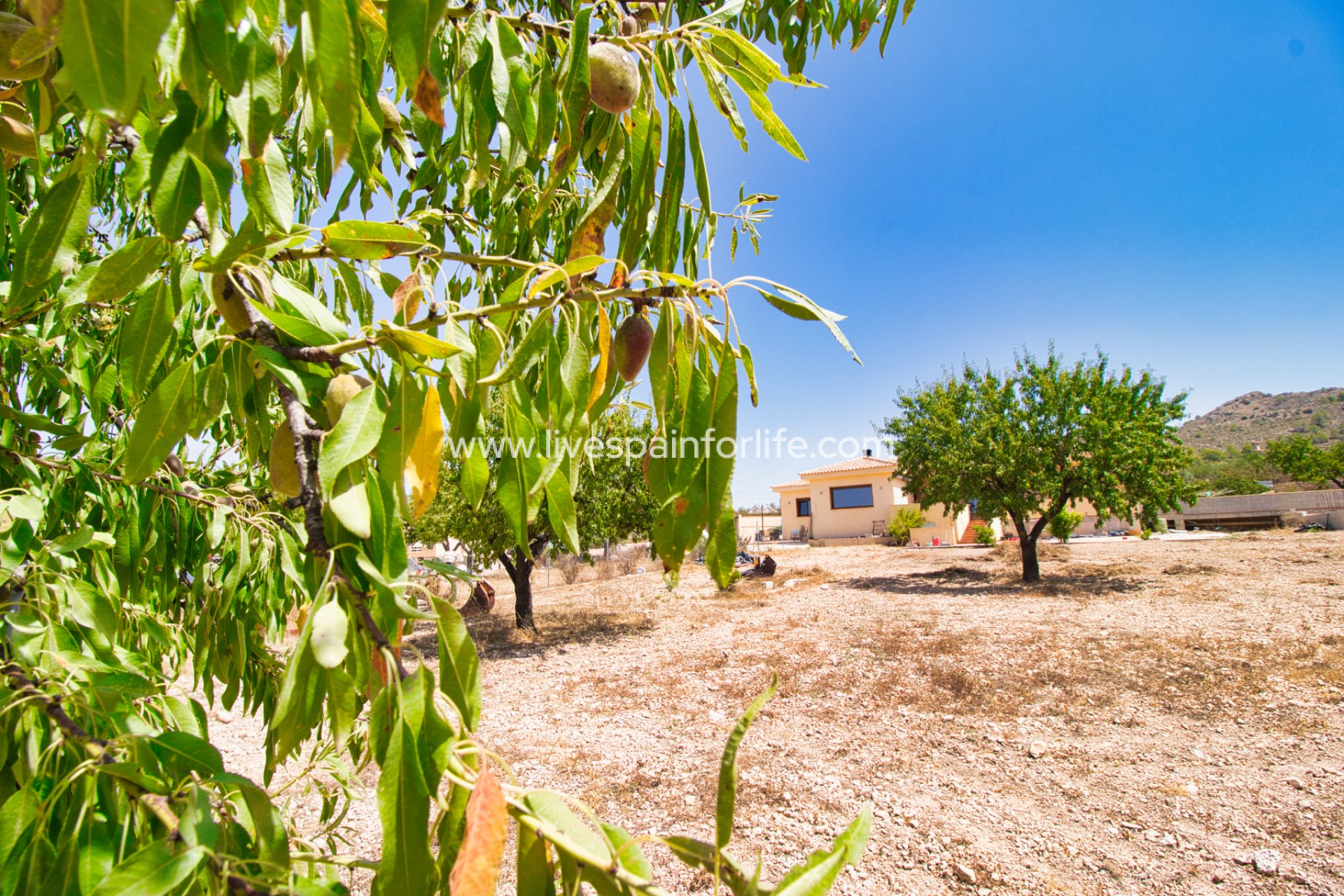 Resale - Country Property -
Hondon De Las Nieves