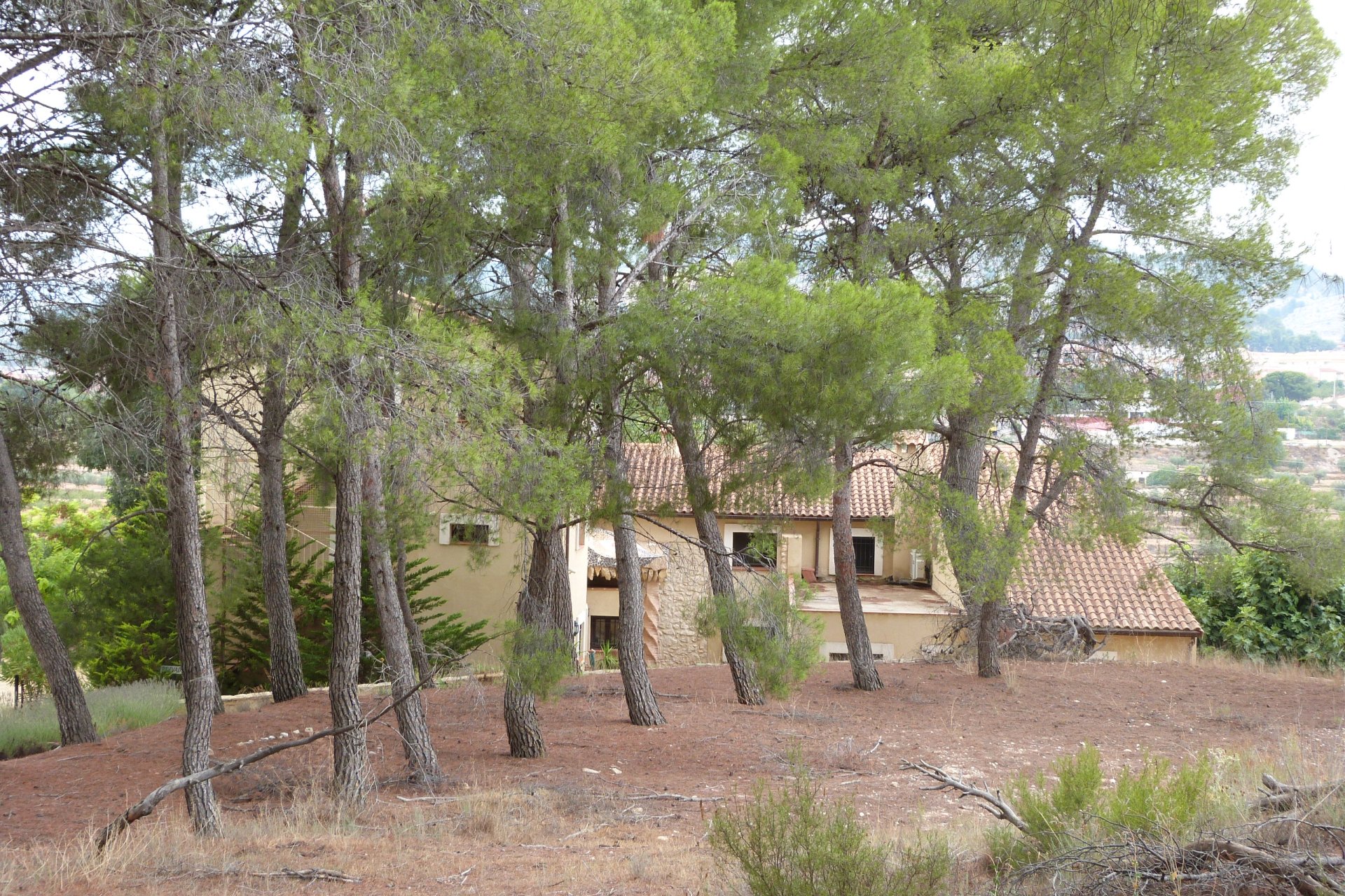 Resale - Country Property -
Ibi - Ibi - Country