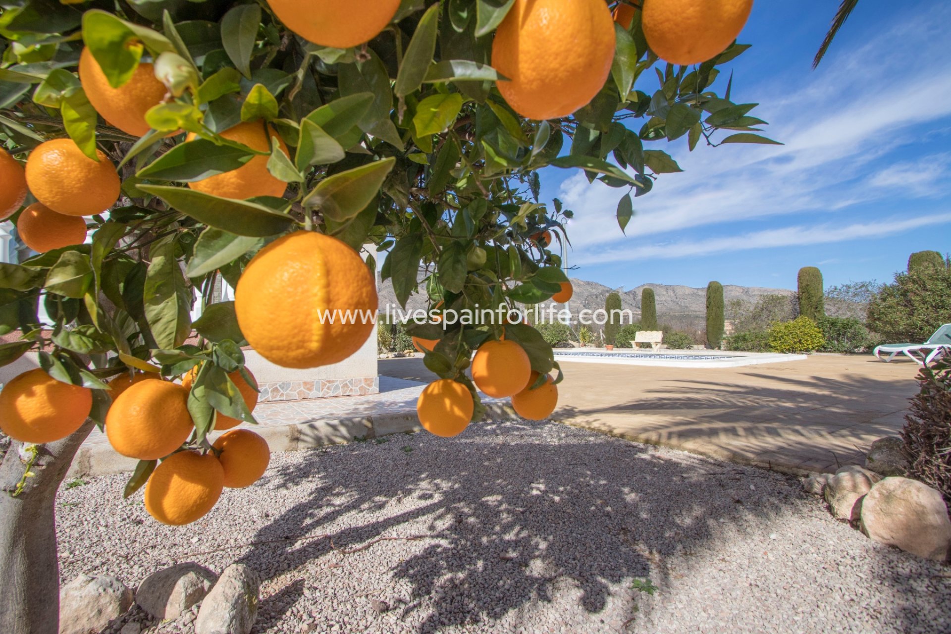 Resale - Country Property -
La Canalosa