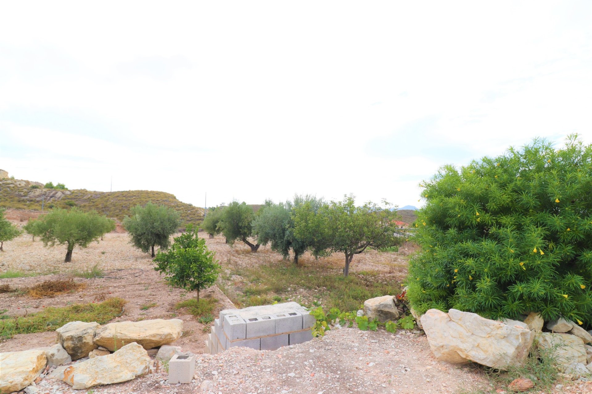 Resale - Country Property -
Macisvenda